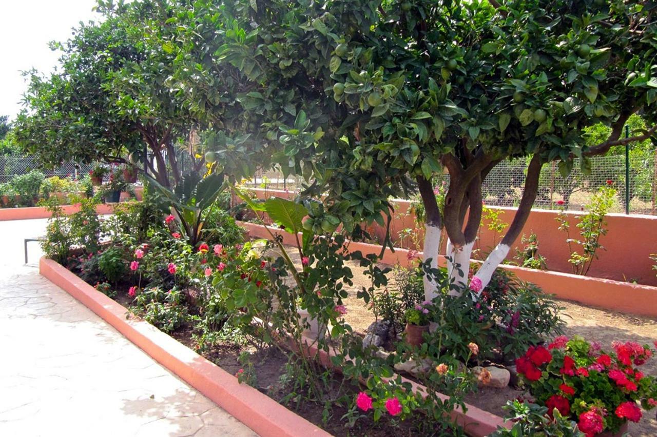 Artemis Superb 2 Bedroom Apartment 700 M Away From The Beach Minia Exterior foto
